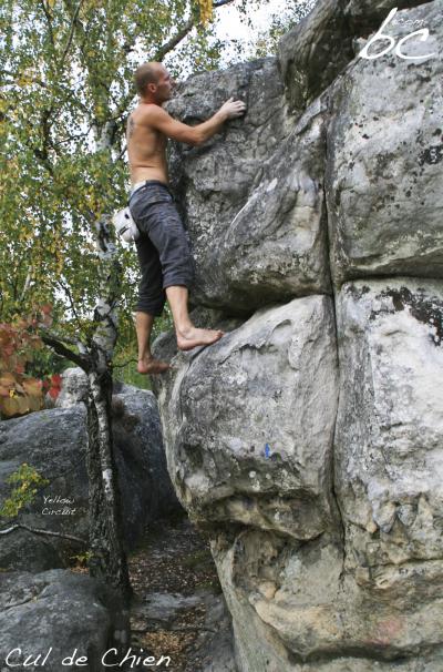 "Yellow Circuit" (4)